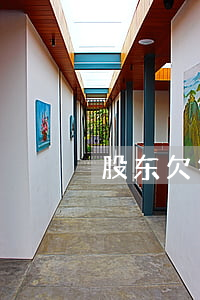 股东欠钱被起诉公司(公司欠钱 股东)
