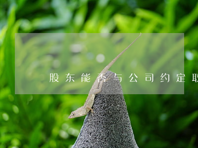 股东能否与公司约定取得固定收益？