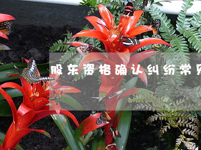 股东资格确认纠纷常见问题