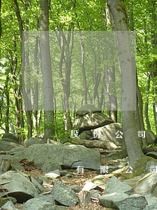 股份公司和股份有限公司什么區(qū)別（有限公司和有限責(zé)任公司區(qū)別）