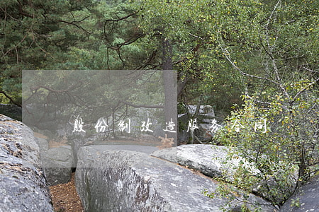 股份制改造服务合同