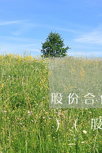 股份合作制企業(yè)法律法規(guī)(股份合作制企業(yè)依據(jù)什么法律法規(guī)登記)