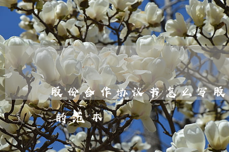 股份合作协议书怎么写(股份股权合作协议书的范本)