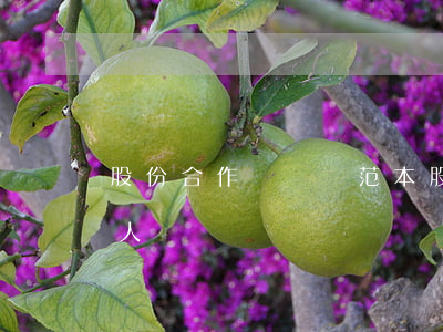 股份合作協議書范本(股份合作協議書范本 四人)