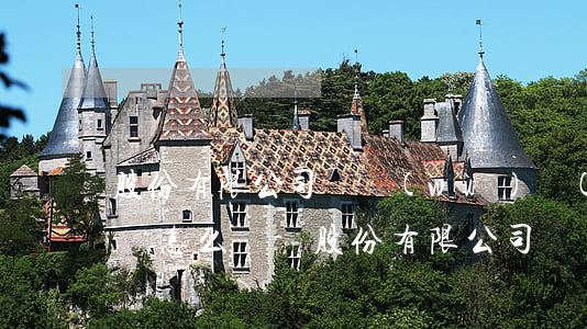 股份有限公司債務(wù)無(wú)力償還怎么辦-股份有限公司債務(wù)無(wú)力償還怎么辦理