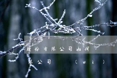 股份有限公司如何償還債務(wù)（股份有限公司債務(wù)無力償還怎么辦）