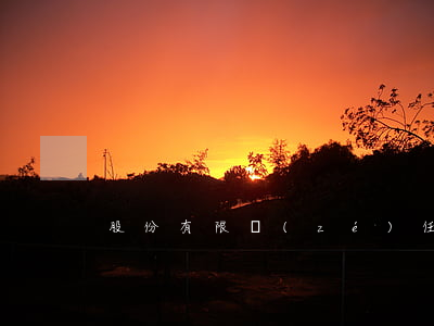股份有限責(zé)任公司