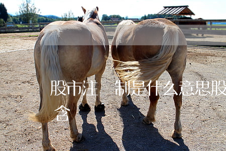 股市注冊制是什么意思(股市的注冊制是什么含義)