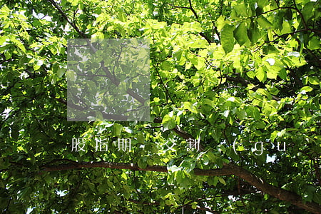 股指期貨交割規(guī)則