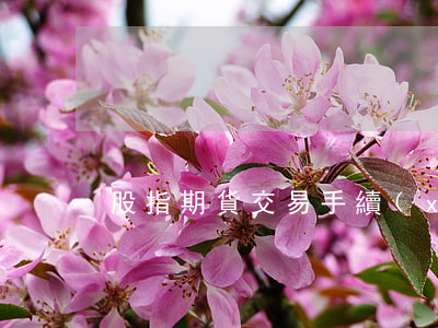 股指期貨交易手續(xù)費(fèi)