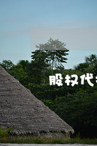 股权代持纠纷审判白皮书（收藏备用）