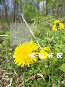 股权分配10大“坑”，看看你踩了几个？