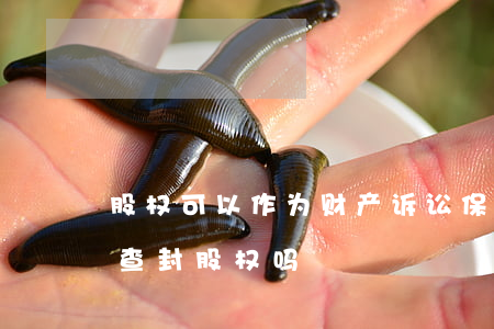 股权可以作为财产诉讼保全吗(诉前保全可以查封股权吗)