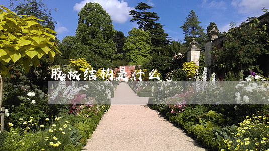 股权结构是什么
