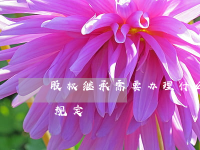 股权继承需要办理什么(关于股权继承法最新规定)