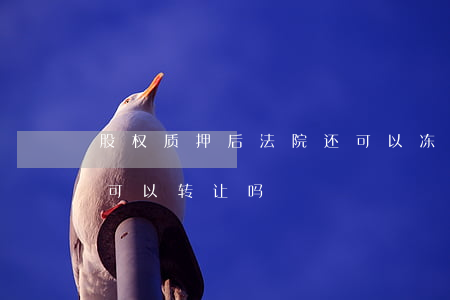股权质押后法院还可以冻结吗(被质押的股权可以转让吗)
