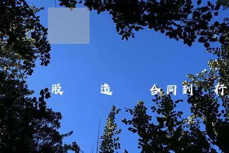 股東偽造購銷合同到銀行借款怎么處罰