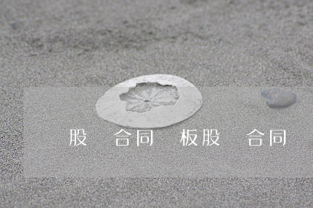 股東合同樣板(股東合同樣板)