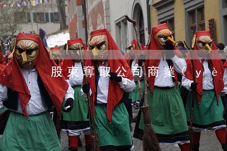 股東奪取公司商業(yè)機會之訴