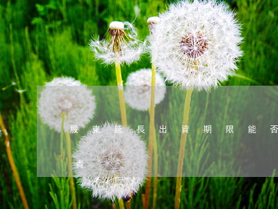 股東延長出資期限能否因出資認繳未滿而免責