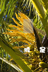股東是什么意思