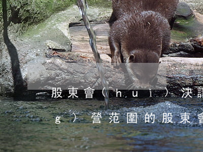 股東會(huì)決議范本(變更經(jīng)營范圍的股東會(huì)決議范本)