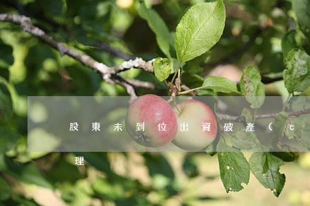 股東未到位出資，破產(chǎn)時如何處理
