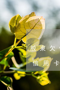 股東欠信用卡沒還影響公司運轉嗎-股東欠信用卡沒還影響公司運轉嗎怎么辦