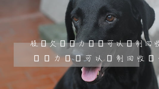 股東欠債無力償還可以強制回收嗎-股東欠債無力償還可以強制回收嗎合法嗎