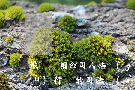 股東濫用公司人格規(guī)避義務(wù)行為的司法認(rèn)定