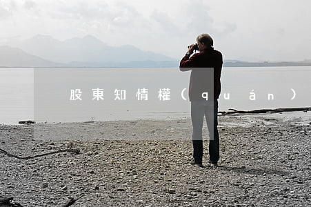 股東知情權(quán)