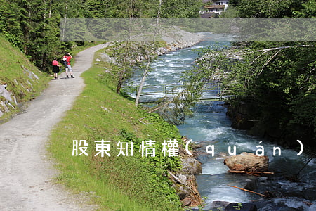 股東知情權(quán)典型案例。
