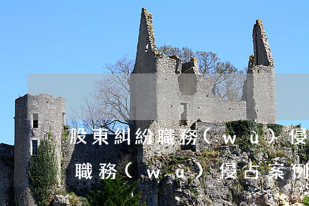 股東糾紛職務(wù)侵占立案(股東告法人職務(wù)侵占案例)
