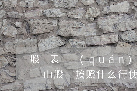 股東表決權(quán)的行使方式(股東會議由股東按照什么行使表決權(quán))
