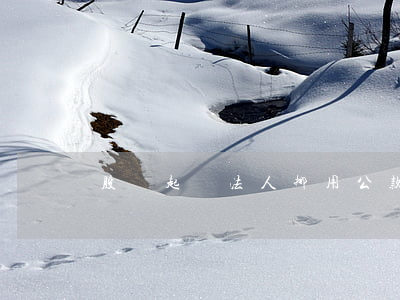 股東起訴法人挪用公款