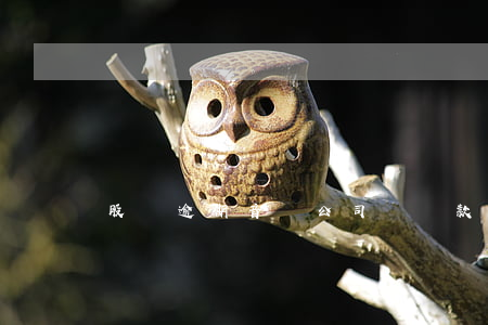 股東逾期音響公司辦貸款