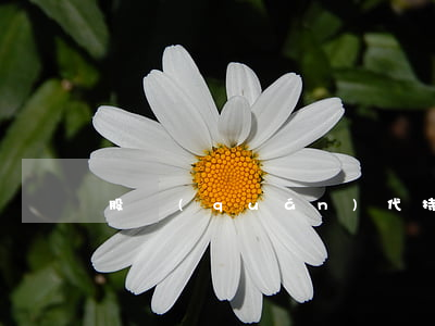 股權(quán)代持協(xié)議范本