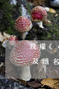 股權(quán)代持裁判規(guī)則及隱名股東的權(quán)益保護(hù)