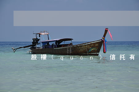 股權(quán)信托有什么樣的意義