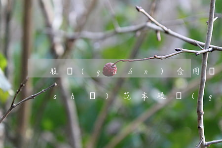 股權(quán)合同協(xié)議書(shū)范本(股權(quán)簽訂協(xié)議范本)
