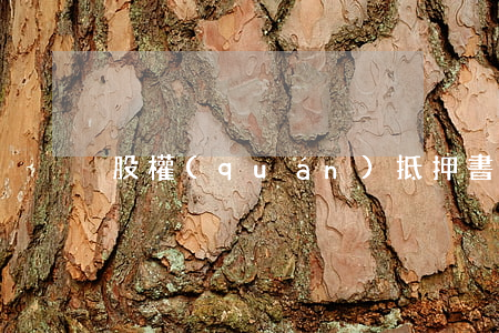 股權(quán)抵押書