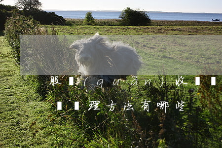 股權(quán)收購債權(quán)債務處理方法有哪些?