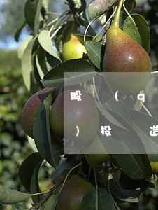股權(quán)案例分享：股權(quán)投資造就億萬(wàn)財(cái)富