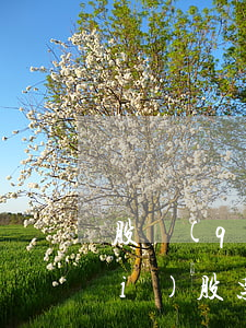 股權(quán)案子律師怎么收費(fèi)(股票訴訟律師收費(fèi)比例)