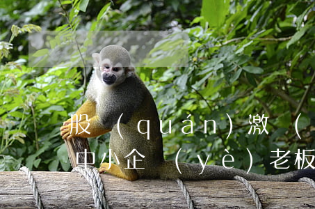 股權(quán)激勵(lì)：為何能解放中小企業(yè)老板