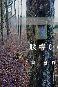 股權(quán)激勵是什么意思(股權(quán)激勵是什么意思,對個股有什么影響?)