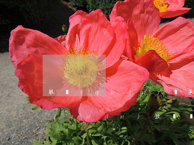 股權(quán)繼承公司虧本怎么辦(股權(quán)放棄繼承公司怎么辦)