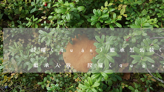 股權(quán)繼承怎么執(zhí)行(繼承人放棄股權(quán)繼承,股權(quán)如何處理)