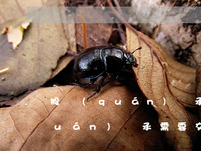 股權(quán)繼承需要交稅嗎(股權(quán)繼承需要交稅嗎)