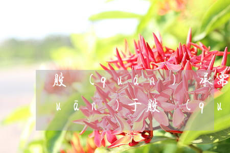 股權(quán)繼承需要辦理什么(關(guān)于股權(quán)繼承法最新規(guī)定)